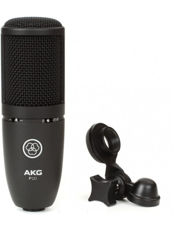 AKG P120 Cardioid Condenser Microphone - Black - Image 2