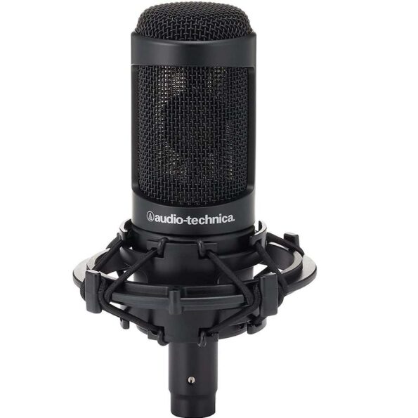 Audio-Technica AT2050 Multi-Pattern Condenser Microphone