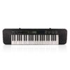 Casio CTK-240 Digital Keyboard 49-Key