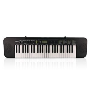 Casio CTK-240 Digital Keyboard 49-Key