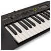Casio CTK-240 Digital Keyboard 49-Key