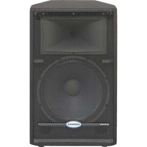Samson RS15HD Resound 15" 2-Way Passive Loud Speaker